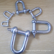 Galvanized European Type Screw Bin Larger D Dee Shackle